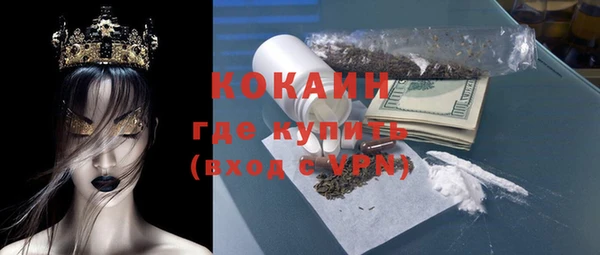 индика Гусев